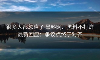很多人都忽略了 黑料网、黑料不打烊最新回应：争议点终于对齐