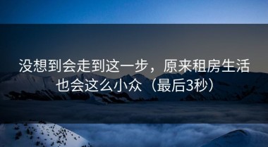 没想到会走到这一步，原来租房生活也会这么小众（最后3秒）